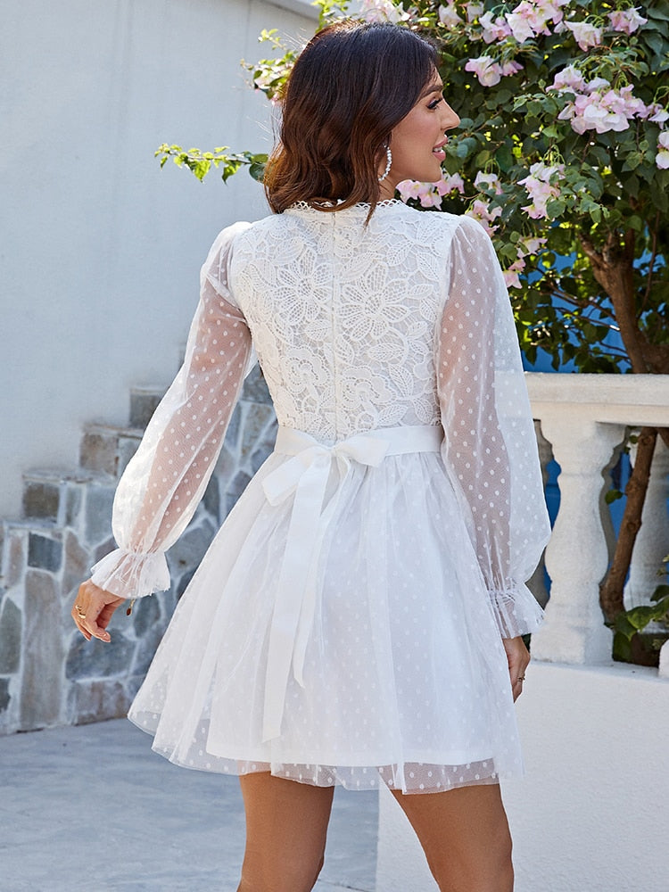 Elegant Lace Embroidery Dress